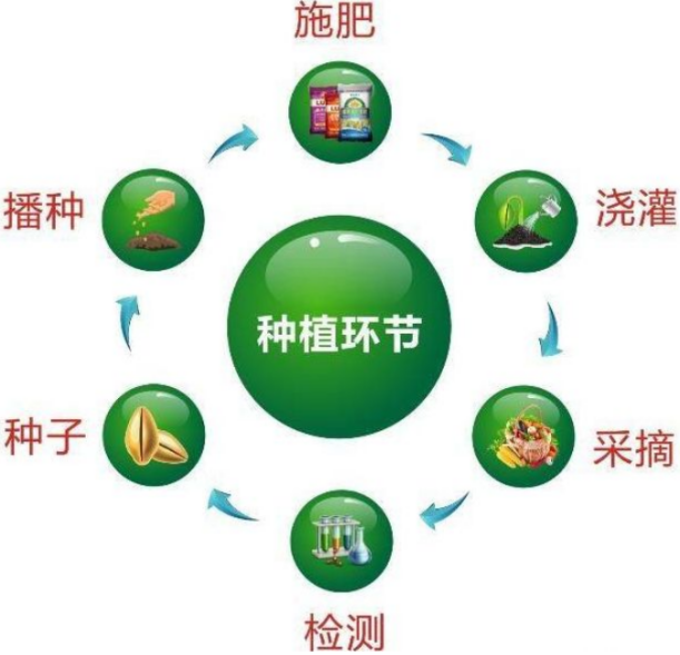 蔬菜質(zhì)量追溯系統(tǒng)